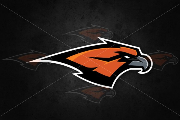 Skyridge Falcon