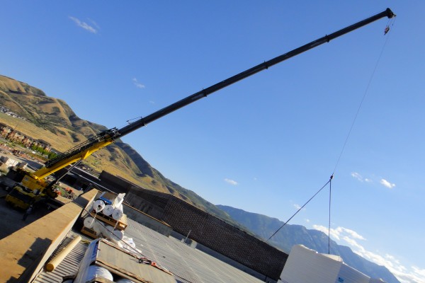 SHS crane SHS crane