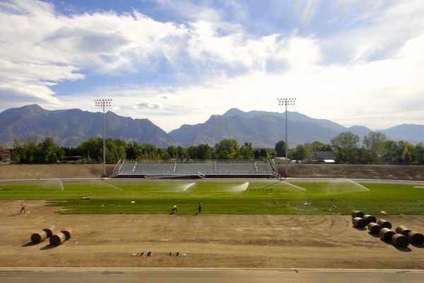football field sod football field sod