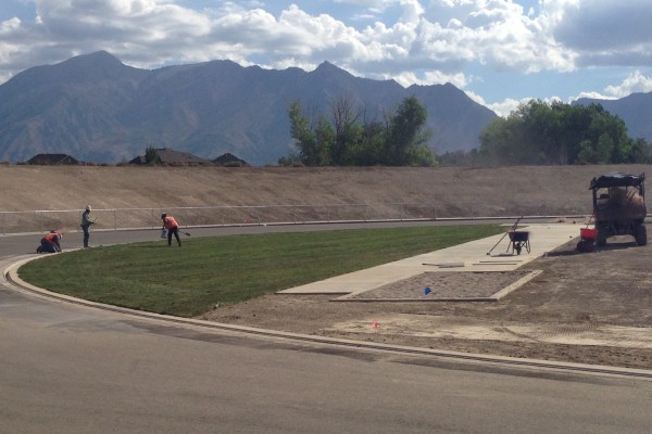 grass being installed grass being installed