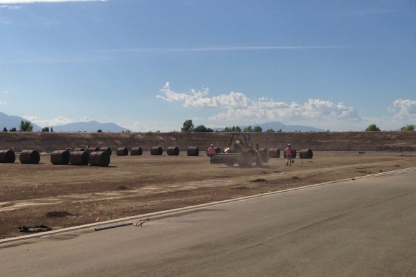 sod installation sod installation