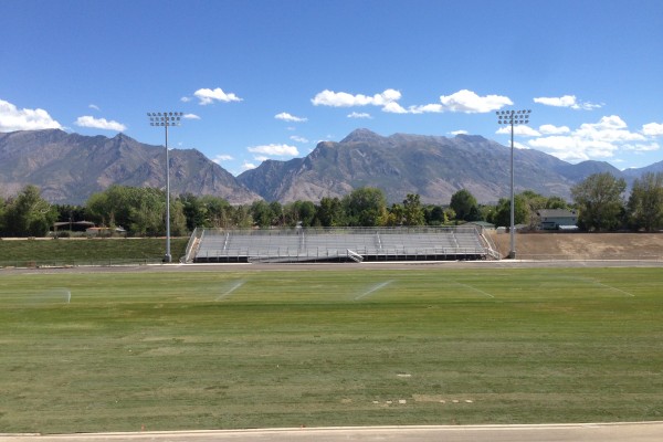 sod on football field sod on football field