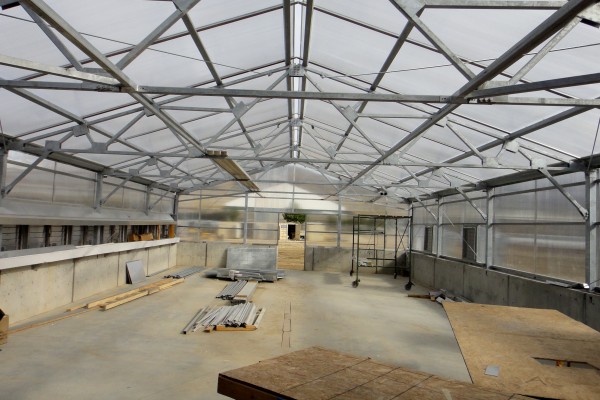 inside the greenhouse inside the greenhouse